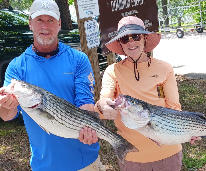 Lake Murray Striper Fishing (Afternoon Trips)
